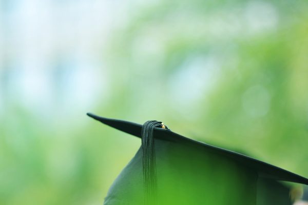 3strategic_goals-cropped-600x400