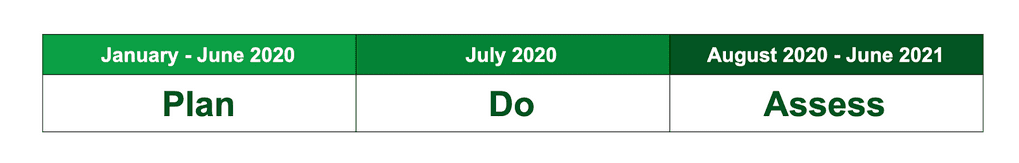 Realizing One IT Timeline: January through June 2020 - Plan; July 2020 - Do; August 2020 through June 2021 - Assess